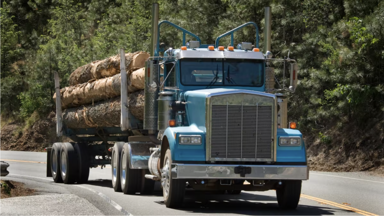 Logging truck driving on the road